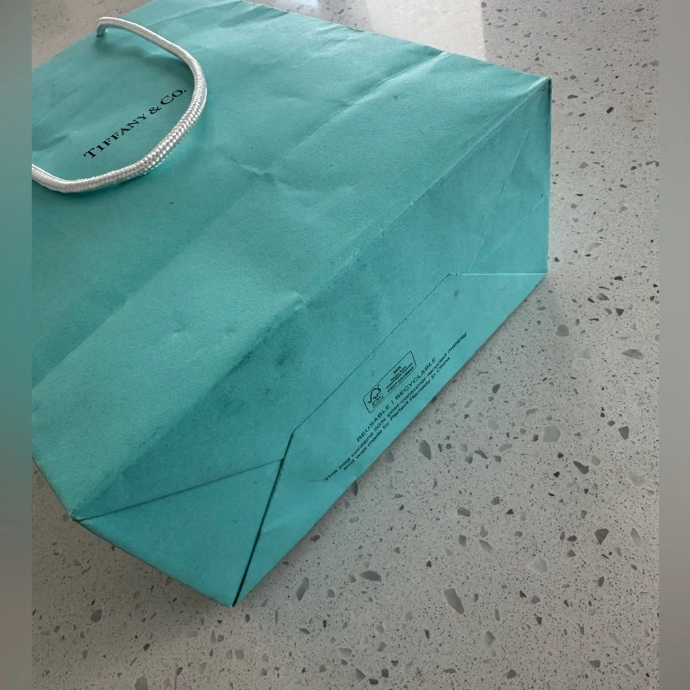Tiffany Paper Bag 10x8
